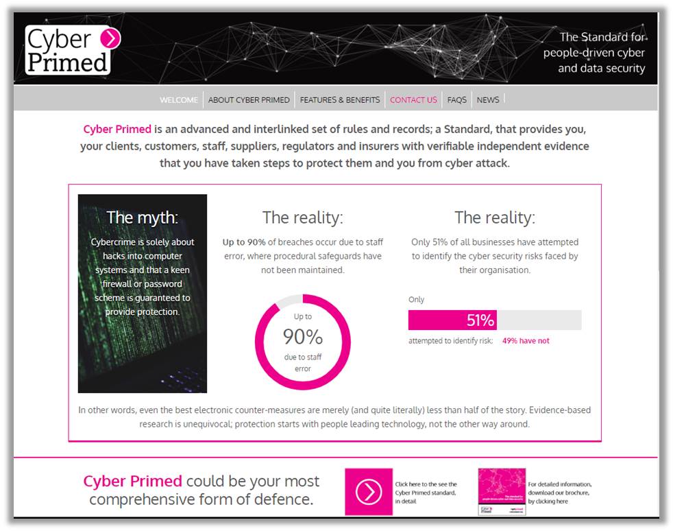 E-marketing: Website: CyberPrimed